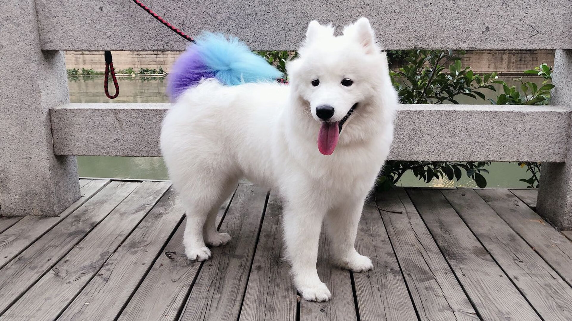 开云kaiyun-《最受期待的直播嘉宾：明星主播加盟助阵》，见证下一个明星主播报名